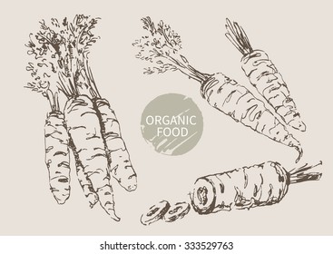 carrots hand draw sketch, vector