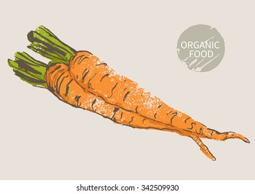 carrots hand draw sketch, vector