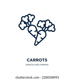 carrots icon from agriculture farming and gardening collection. Thin linear carrots, food, carrot outline icon isolated on white background. Line vector carrots sign, symbol for web and mobile