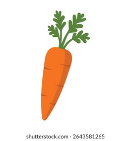 Carrots icon, carrot vector. carrot, icon, orange, vector, food, fresh, natural, organic, Carrot icon vector on white background. Vector illustration.