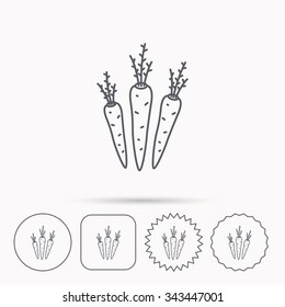 Carrots icon. Vegetarian food sign. Natural vegetables symbol. Linear circle, square and star buttons with icons.