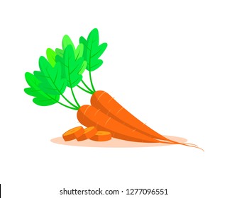Carrots isolated on white background.