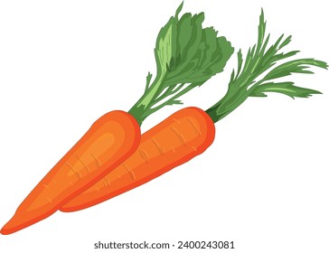 Carrots isolated on white background
