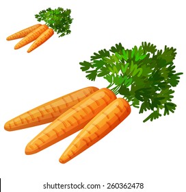 Carrots isolated on white background. Detailed Vector Icon. Series of food and drink and ingredients for cooking.