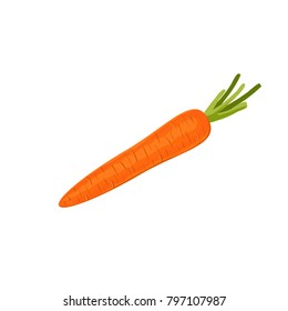 carrots isolated on white background. Vector illustration. ingredients for cooking.