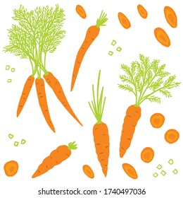 Carrots with leaves and carrot slices, pieces. Carrot Seamless pattern. Vector illustration set. Sketch, doodle trendy style