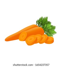 Carrots with leaves and carrot slices. Vector illustration.