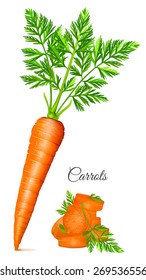 Carrots with leaves and carrot slices. Vector illustration.