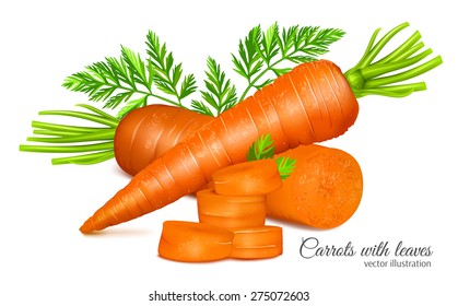 Carrots with leaves and carrot slices. Vector illustration.