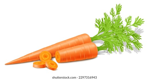 Carrots with leaves isolated on white background. Whole ripe carrot and slices. Fully editable handmade mesh. Realistic 3d Vector illustration. For cooking, menu, Herbal medicine, advertising