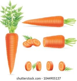 Carrots with leaves and slices. Vector illustration.