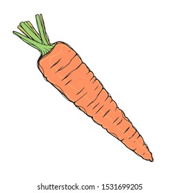 Carrots, a linear pattern in color. Orange edible vegetable. Ingredient for the dish