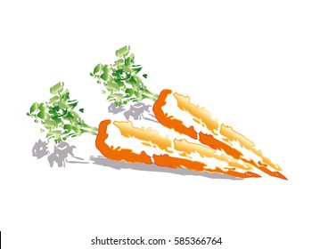 Carrots on white background