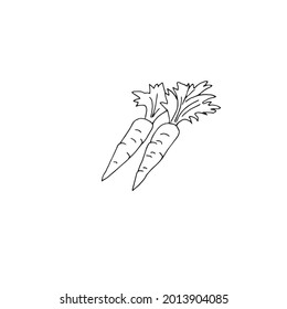 Carrots on a white background drawn in a vector