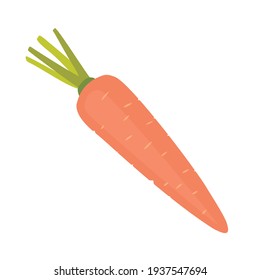 Carrots on a white background. Vector, isolated, flat illustration.