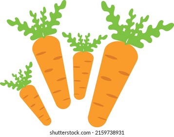 Carrots on a white background. Vector illustration. Icon.