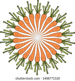Carrots on white background. Vegetables for your design. Vector image.