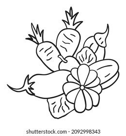 Carrots, radishes, pumpkins and vegetables Vector for kids coloring book black and white Illustration.