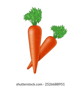 Carrots in a realistic style on a pure white background