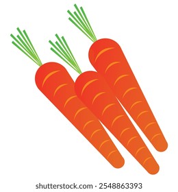 Las zanahorias son tubérculos conocidos por su vibrante color naranja y su textura dulce y crujiente.