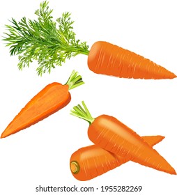 Carrots set for banners, flyers. Whole carrots, half carrot, carrot with tops. Fresh organic and healthy, diet and vegetarian vegetables. Vector illustration isolated on white background