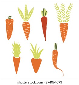 Carrots set. Hand drawn illustration made in vector.