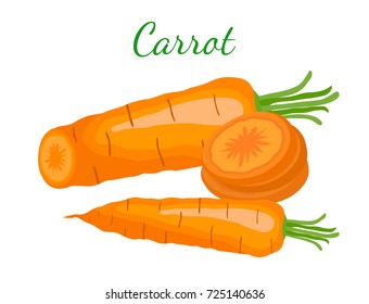 Carrots set, orange tasty vegetable. Organic food. Made in cartoon flat style. Vector illustration