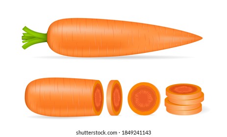 Carrots and slices isolated. Vector illustration.