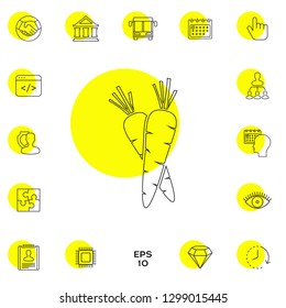 Carrots symbol line icon. Graphic elements for your design