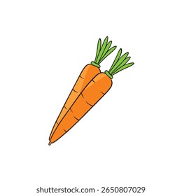 Carrots tied together fresh orange veggie with string design Vector illustration