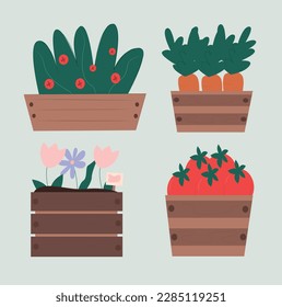 Carrots, tomatoes, flowers, plants. Boxes with plants. Garden and vegetable garden. Set of boxes with plants and vegetables