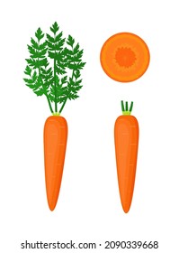 Carrots with tops, whole and slice vector set