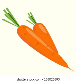 Carrots, vector