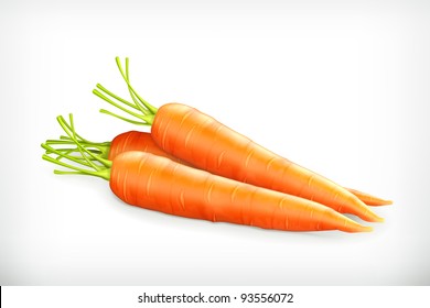 Carrots, vector