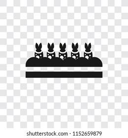 Carrots vector icon isolated on transparent background, Carrots logo concept