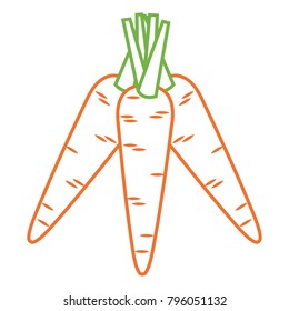 carrots vegetable fresh healthy food