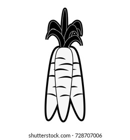 carrots vegetable icon image 