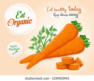 Carrots vegetable vector illustration with green leaves and round slices of carrot vegetable