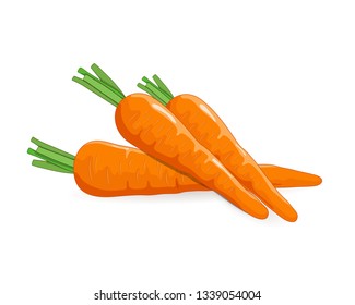 Carrots vegetable vector illustration isolated on white background