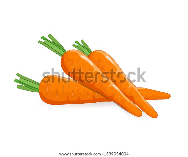 Carrots Vegetable Vector Illustration Isolated On Stock Vector (Royalty ...