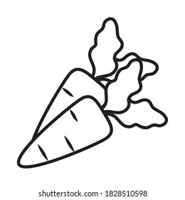 carrots vegetables icon over white background, line style, vector illustration