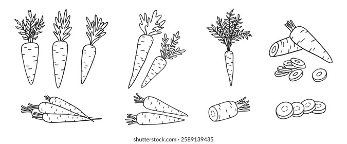 carrots, whole vegetable and piece of carrot doodle hand drawn icon set. Outline drawing carrot line clipart symbol collection. Vector illustration