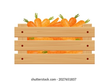 Carrots in a wooden box. Autumn harvest. Isolated over white background. Eps 10