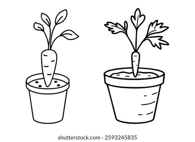 A Carrot-Themed Easter, Growing carrots in pots with green leaves and roots visible