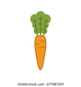 Carrot-vector, isolate on white background.