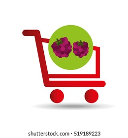 carry buying raspberry fruit icon graphic vector illustration eps 10