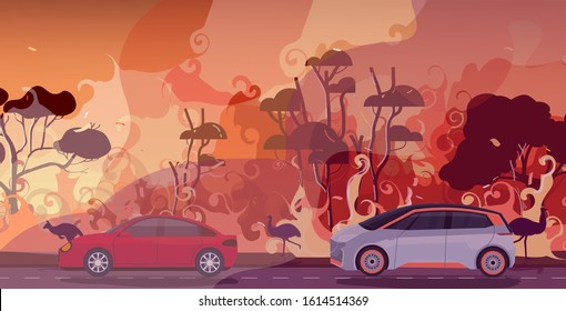 cars and animals escaping from forest fires in australia wildfire bushfire burning trees natural disaster evacuation concept intense orange flames horizontal vector illustration