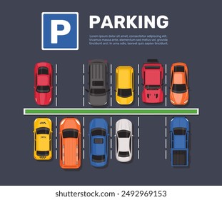 Cars parking zone. Top view city personal and public transport. Paved area marking. Urban vehicles. Auto transportation. Free and occupied places. Road garage. Vector