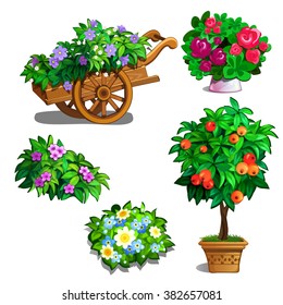 Cart with flowers. Bonsai tree with red berries. Elements of an interior of apartment, office, country house or landscape design. Vector illustration.