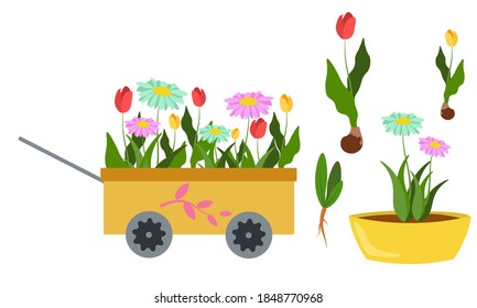 cart with flowers many spring flowers